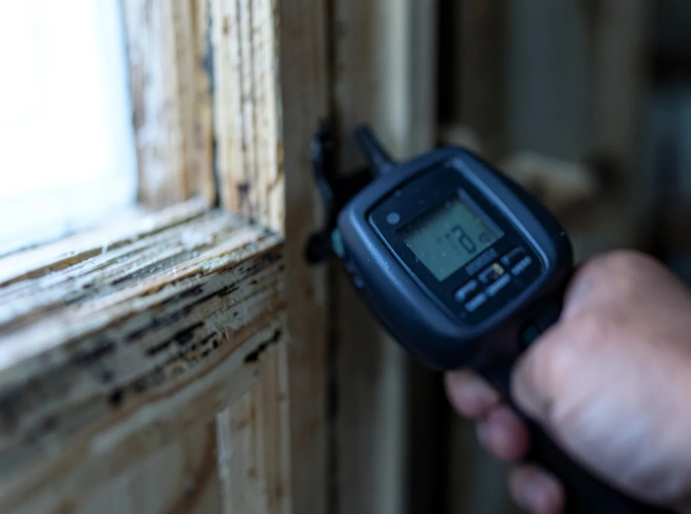 Moisture Inspection And Documentation in Electric City, WA